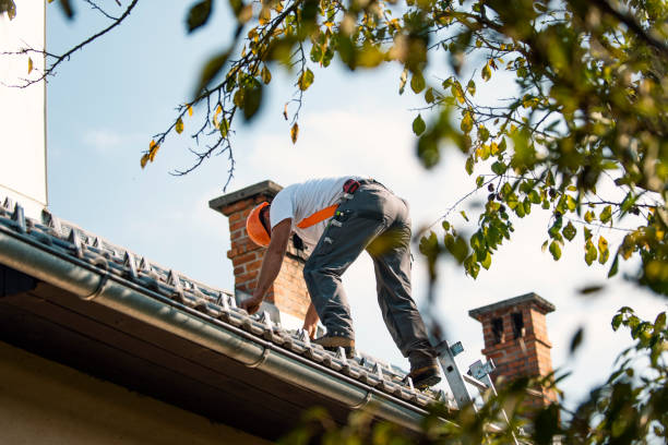 Fast & Reliable Emergency Roof Repairs in Citronelle, AL