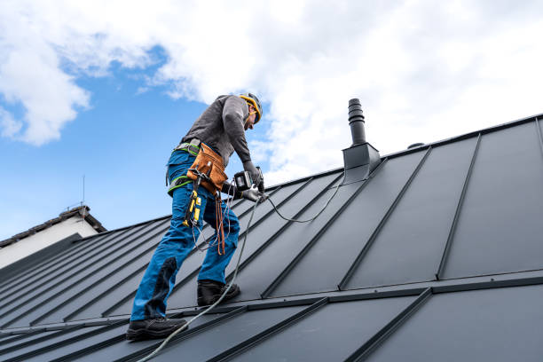 Best Roof Leak Repair  in Citronelle, AL